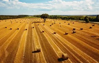 Fabriquer des produits écologiques et fiables