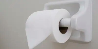 Origamis faciles avec des rouleaux de papier toilette