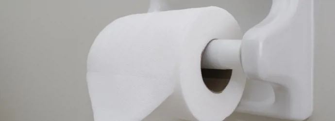 Origamis faciles avec des rouleaux de papier toilette