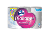 Lotus Moltonel Fraîcheur Pure