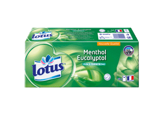 Lotus Menthol Eucalyptol