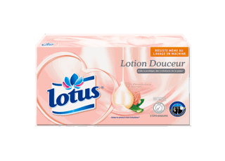 lotus lotion boite