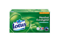 lotus menthol eucalyptol boite