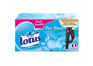 Lotus Pur Blanc