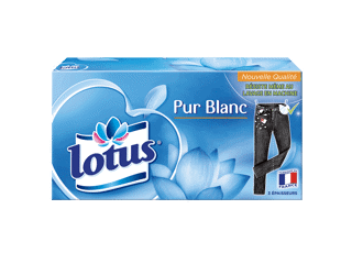 Lotus Pur Blanc