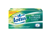 Lotus Menthol 1980