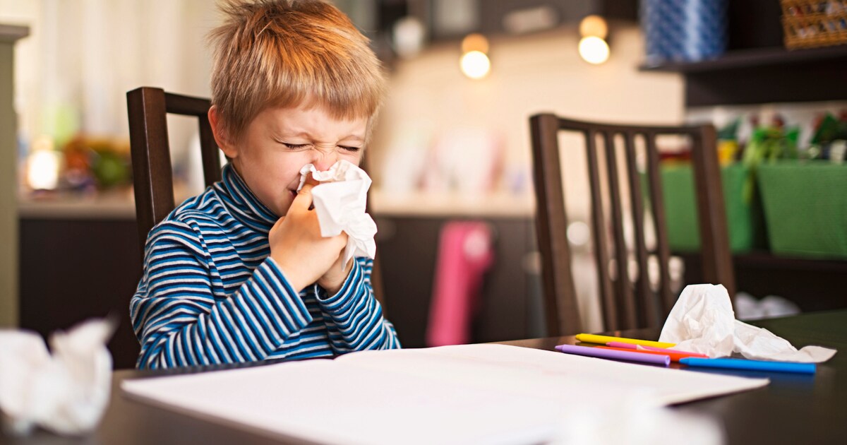 Flunssan hoito kotikonstein Lotus