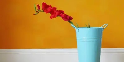 fleurs