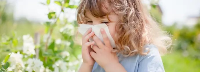 Allergie Pollen Bebe