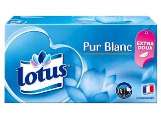 Lotus Pur Blanc
