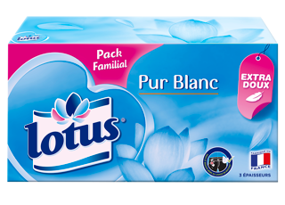 Lotus Pur Blanc