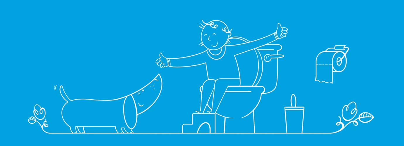 Les Differents Types De Selles Et Leur Signification Lotus