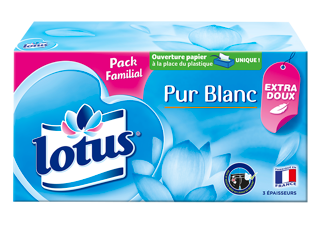 Lotus Pur Blanc