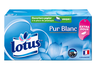 Lotus Pur Blanc