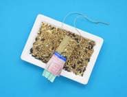 bird feeders for kids 07