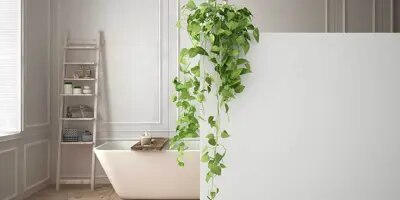 Une salle de bain élégante et blanche au design minimaliste
