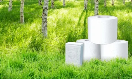 Nos fibres sont issues d’un approvisionnement responsable