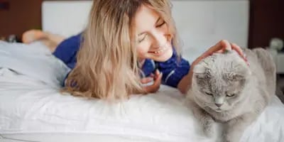 Nainen makaa sängyllä ja silittää kissaansa allergiaoireista kärsimättä