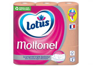 Packaging Moltonel Pêche x9