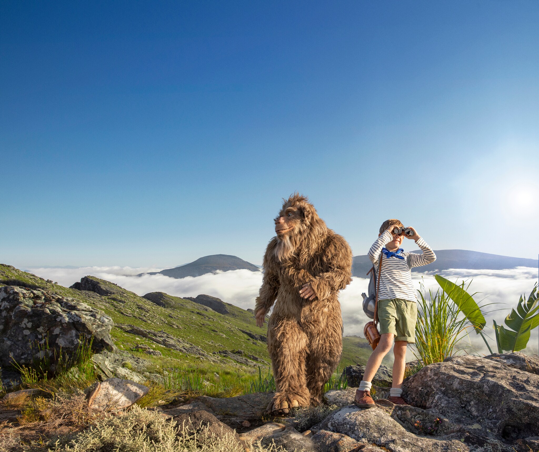 Papier Toilette Mouchoirs Nos Meilleures Astuces Lotus