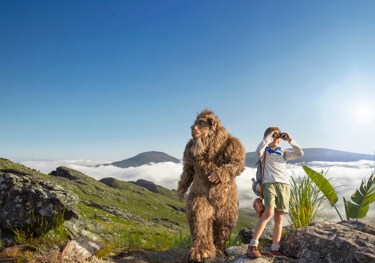 Papier Toilette Mouchoirs Nos Meilleures Astuces Lotus Papier Toilette Mouchoirs Nos Meilleures Astuces Lotus