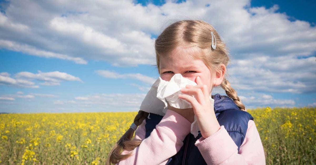 Guide sur les allergies croisées Lotus — free download