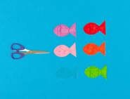 outdoor-games-for-kids-hook-a-fish-08.jpg