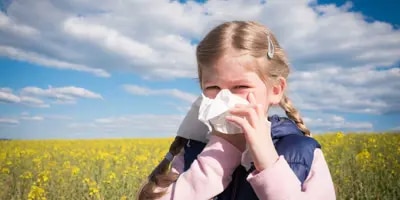 Nuori tyttö niistää nenäänsä pellolla ja saattaa kärsiä siitepölyallergian ja muiden allergioiden ristireaktiosta.