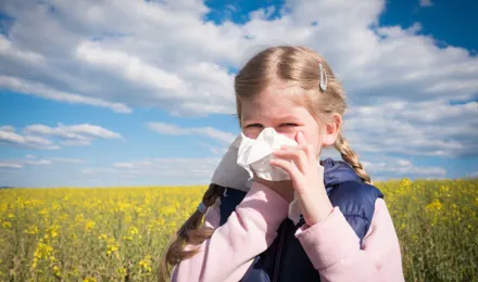 Nuori tyttö niistää nenäänsä pellolla ja saattaa kärsiä siitepölyallergian ja muiden allergioiden ristireaktiosta.