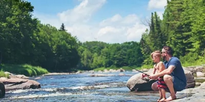 Lingette, papier toilette et environnement : ce qu’il faut savoir