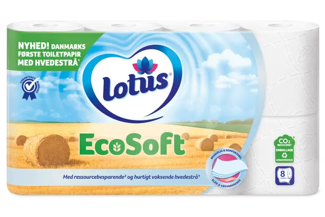 EcoSoftEcoSoft Main 8