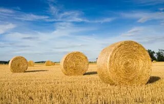 Vähäpäästöinen tuotanto: Fossiilivapaa biokaasu Ruotsissa