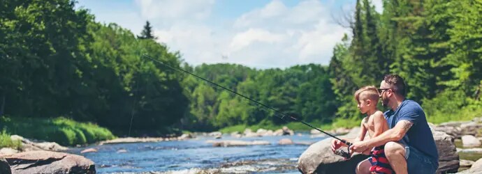 Papier toilette et environnement : ce qu’il faut savoir