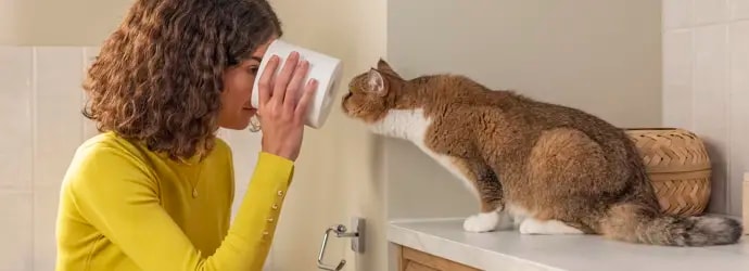 Une femme et un chat orange se regardent à travers le trou d'un rouleau de papier toilette.