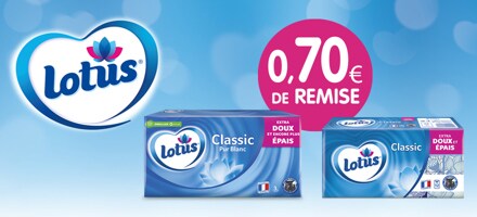Papier Toilette Mouchoirs Nos Meilleures Astuces Lotus Papier Toilette Mouchoirs Nos Meilleures Astuces Lotus