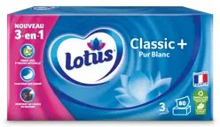 Classic+ x12 étuis.
