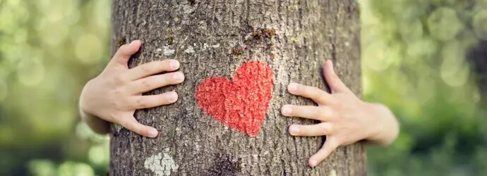 Kierrätetty paperi ja pienemmät päästöt: miten kehitämme tuotteita