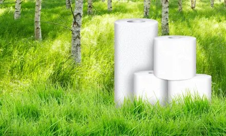Sustainability Header Products