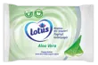 Aloe Vera Kostea wc-paperiAloe Vera Kostea wc-paperi Main 42