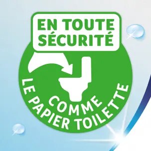 jeter dans la toilette