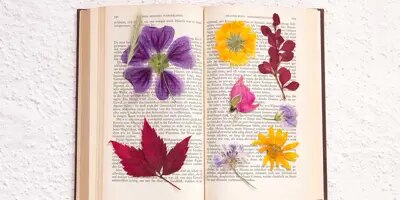 Comment faire sécher des fleurs facilement ?