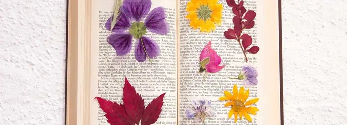 Comment faire sécher des fleurs facilement ?