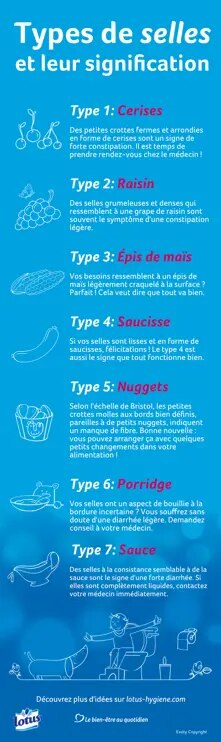 Les 7 types de selles et les aliments auxquels ils ressemblent, accompagnés d'une description et de conseils santé.