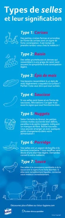 Les 7 types de selles et les aliments auxquels ils ressemblent, accompagnés d'une description et de conseils santé.