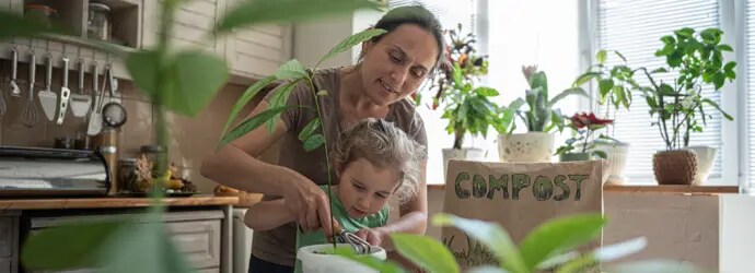 Utilisation des produits et déchets après utilisation