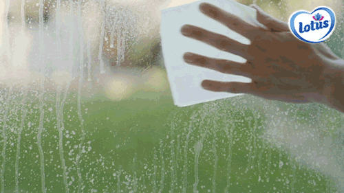 Wash the windows